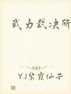 武力裁决所