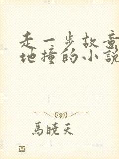 走一步故意深深地撞的小说封面