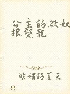 公主的欲奴h四根双龙