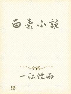 白素小说
