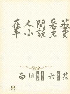 在人间采薇陆三平小说免费阅读