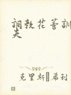 调教花蒂训诫从夫