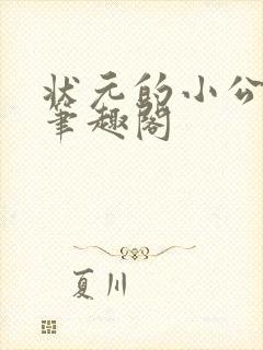 状元的小公主 笔趣阁封面
