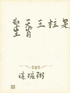 擎天玉柱是什么生肖封面