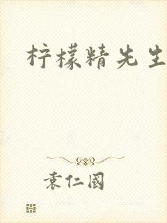柠檬精先生封面