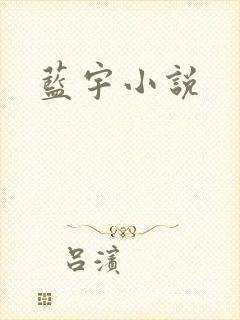 蓝宇小说