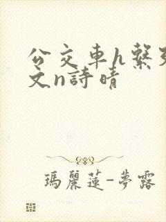 公交车h系列辣文n诗晴