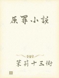 原罪小说