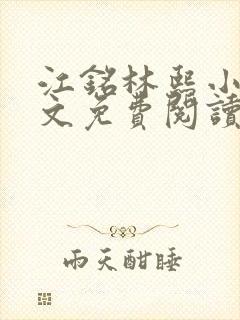 江铭林熙小说全文免费阅读封面