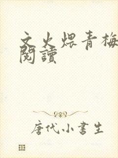 文火煨青梅免费阅读