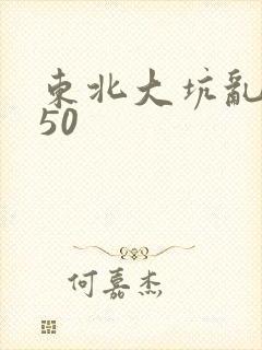 东北大坑乱1—50