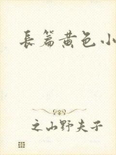 长篇黄色小说