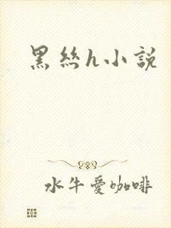 黑丝h小说封面