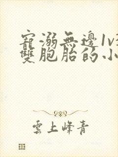 宠溺无边1v3双胞胎的小说