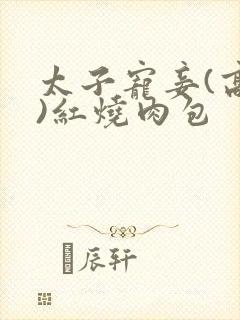 太子宠妾(高肉)红烧肉包