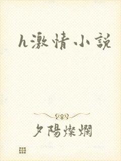 h激情小说封面