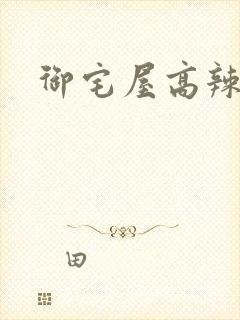 御宅屋高辣h文封面