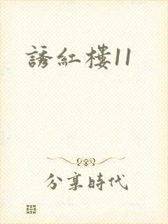 诱红楼11