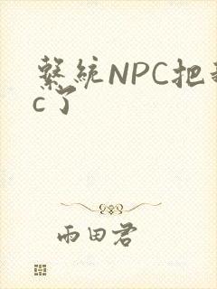 系统NPC把我c了