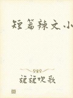 短篇辣文小说封面