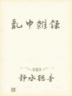 乱中杂录