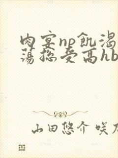 肉宴np饥渴放荡总受高hbl