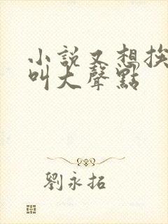 小说又想挨C了叫大声点封面