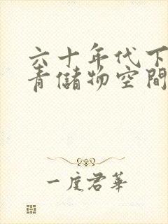六十年代下乡知青储物空间