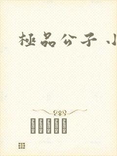 极品公子 小说封面