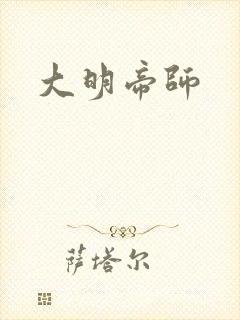 大明帝师封面