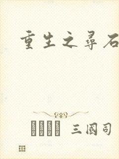 重生之寻石者