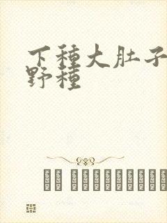 下种大肚子怀孕野种