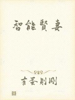 智能贤妻