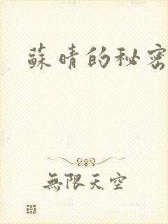 苏晴的秘密小说