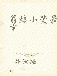 翁熄小莹最新节章