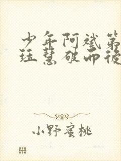 少年阿斌第二部珏慧破而后立