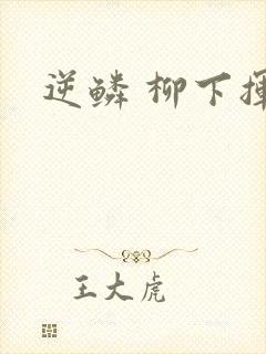 逆鳞 柳下挥封面