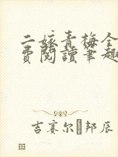 二嫁青梅全文免费阅读笔趣阁