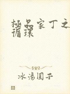 极品家丁之因果循环封面