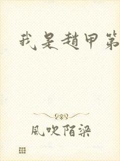 我是赵甲第小说