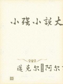 小强小说大全封面