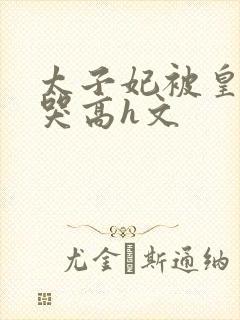 太子妃被皇上c哭高h文封面