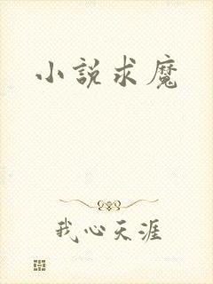 小说求魔封面