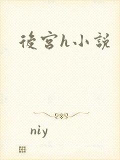 后宫h小说