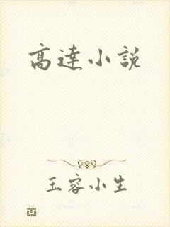 高达小说