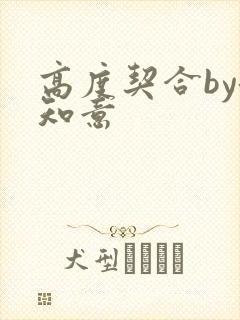高度契合by洛知意
