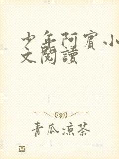 少年阿宾小说全文阅读