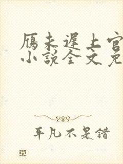 雁未迟上官穿越小说全文免费阅读封面