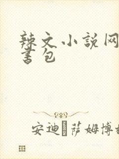 辣文小说网第二书包