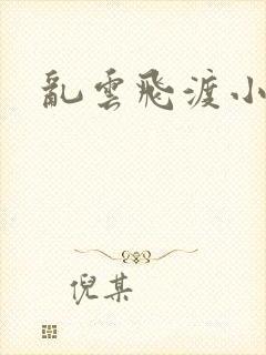 乱云飞渡小说